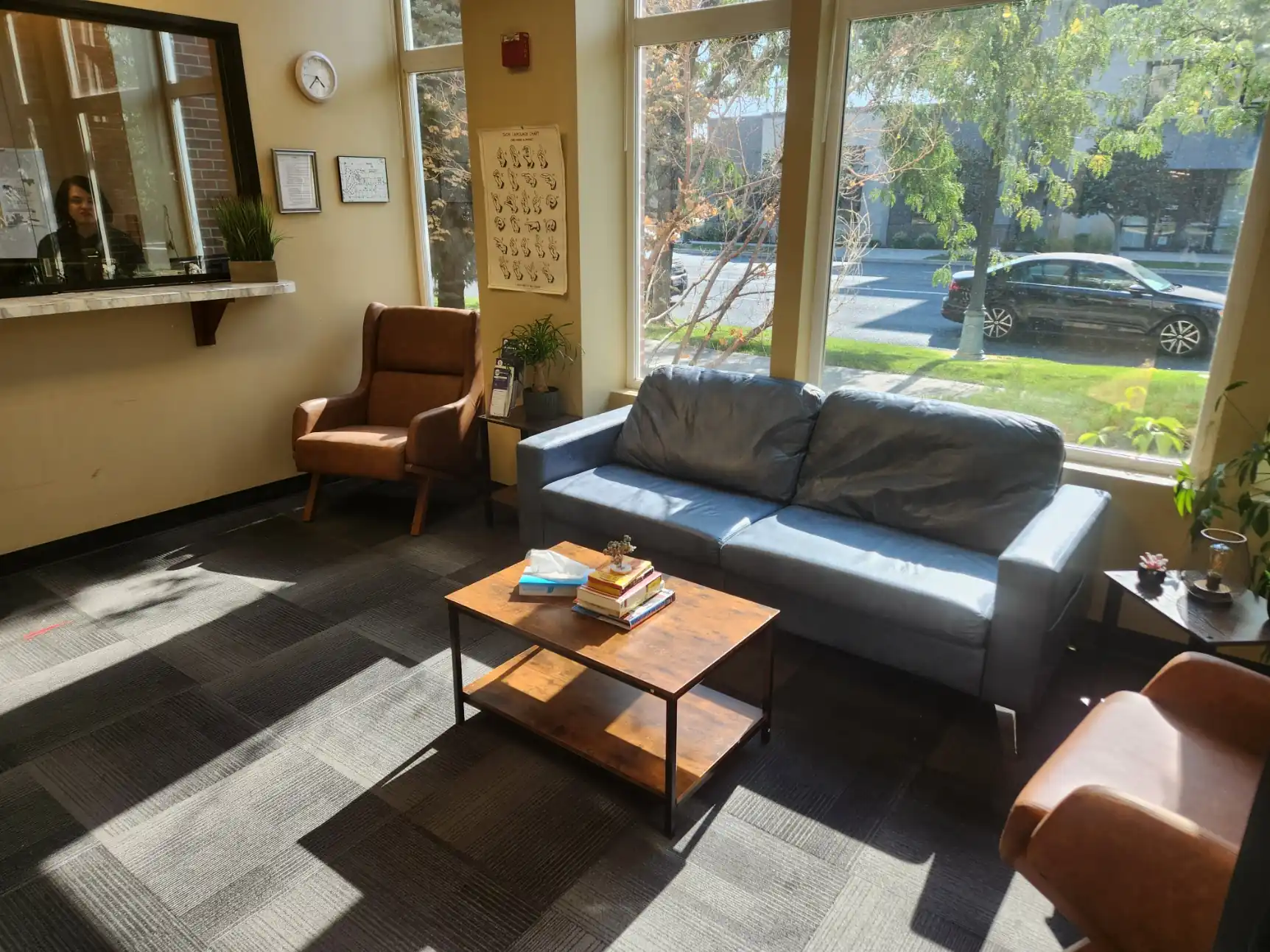 Access Behavioral Health Services- Boise