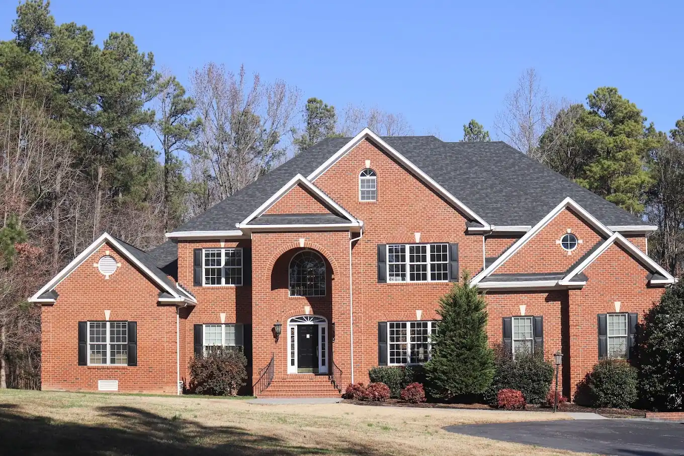 Aster Springs - Virginia