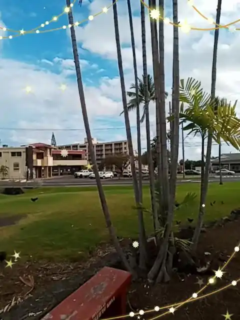 Department of Health CAMHD West Hawaii Family Guidance Center