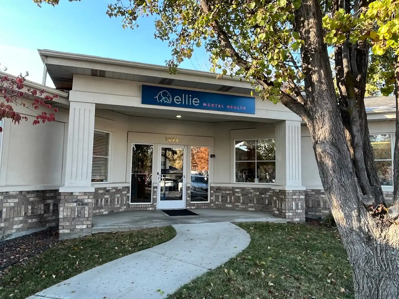 Ellie Mental Health Boise