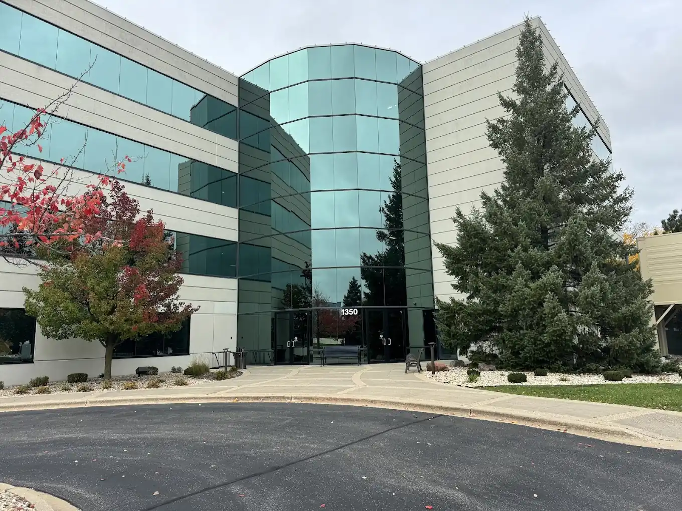 Ellie Mental Health Middleton