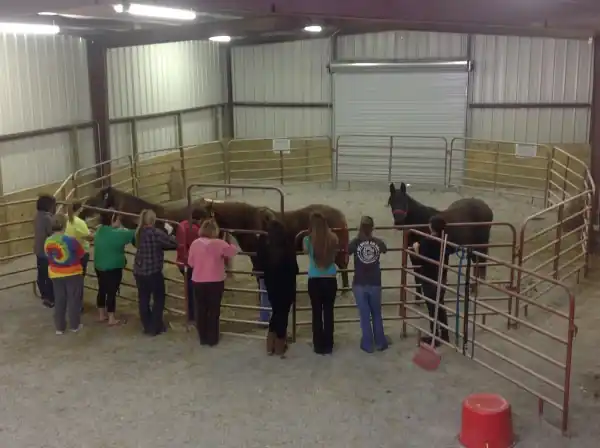 English Mountain Recovery