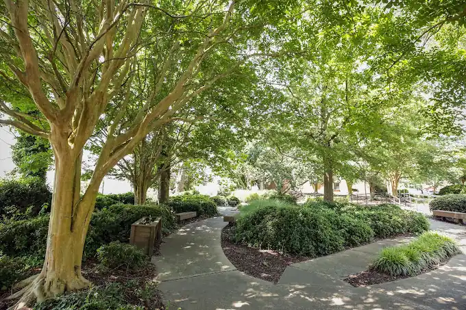 Pyramid Newport News Residential and Outpatient