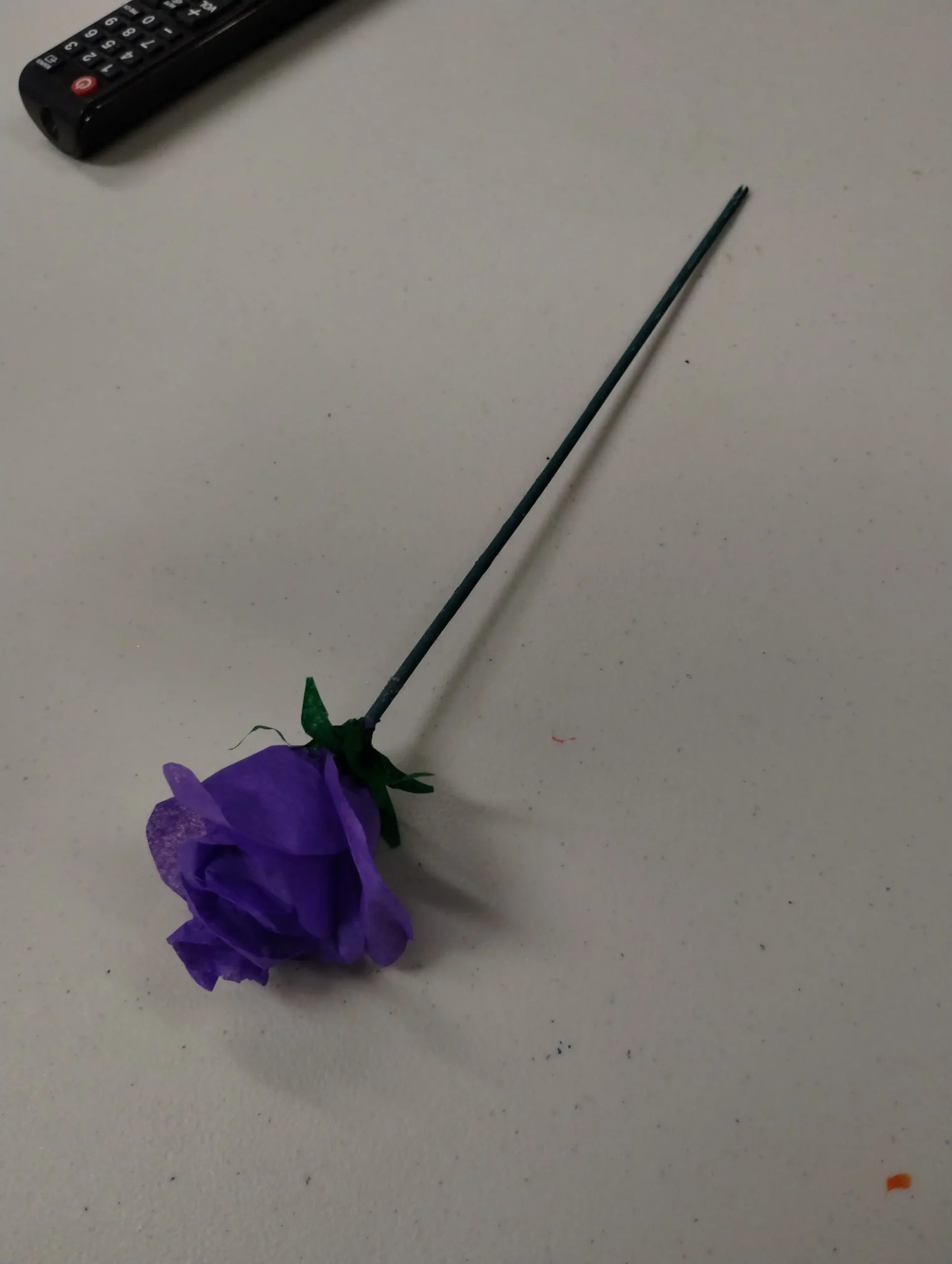 Sunrise Services Mount Vernon College Way