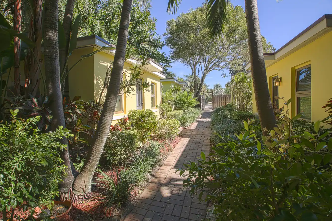 The Beachcomber Recovery