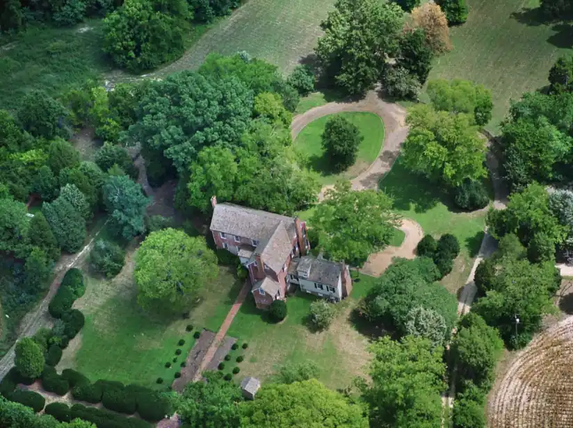 Williamsville Wellness