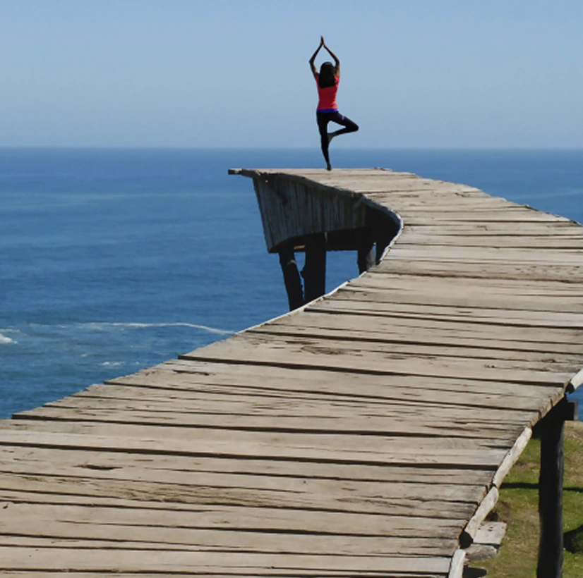 What to Look for in a Holistic Program