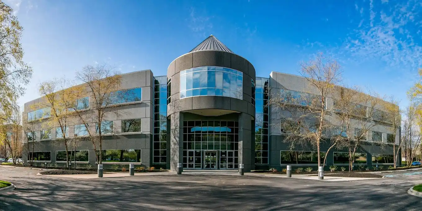 Aster Springs Columbus