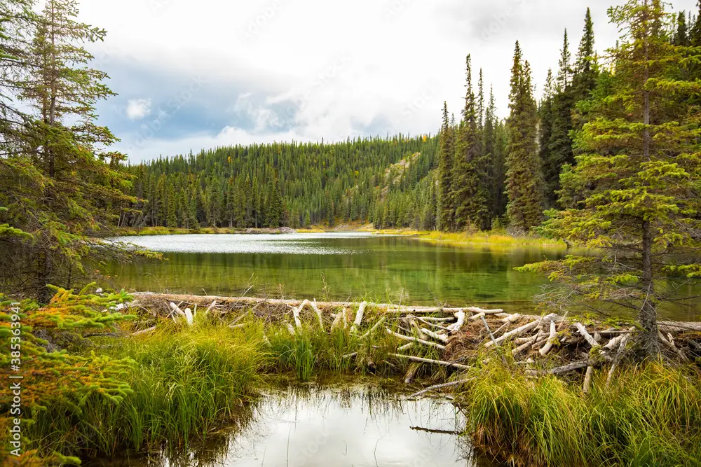 Beaverdam