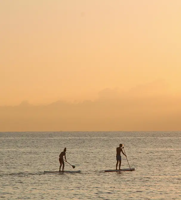 Holistic Wellness & Recovery Services