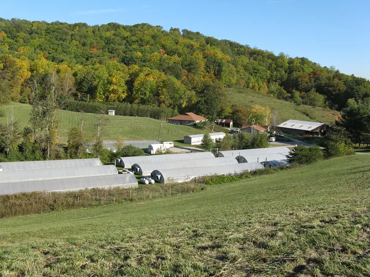 First Step Farm of WNC Womens Facility
