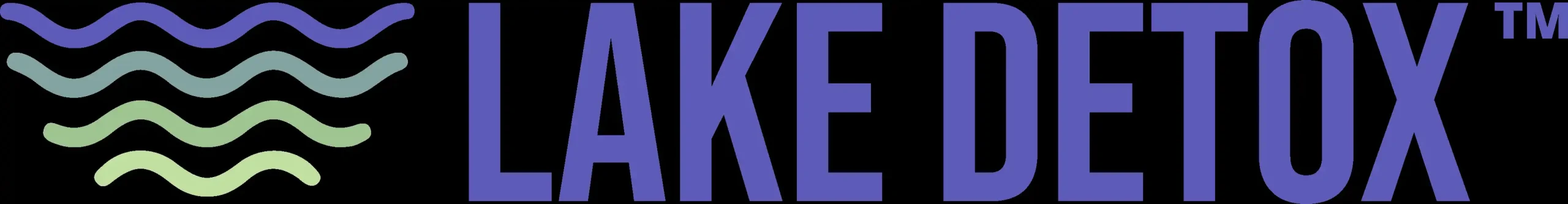 Lake Detox Metairie