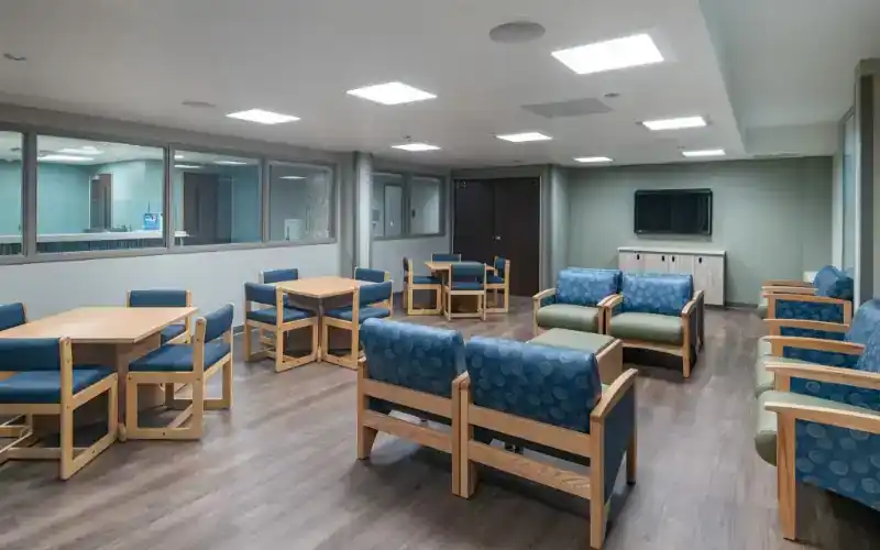 Montrose Behavioral Health Hospital