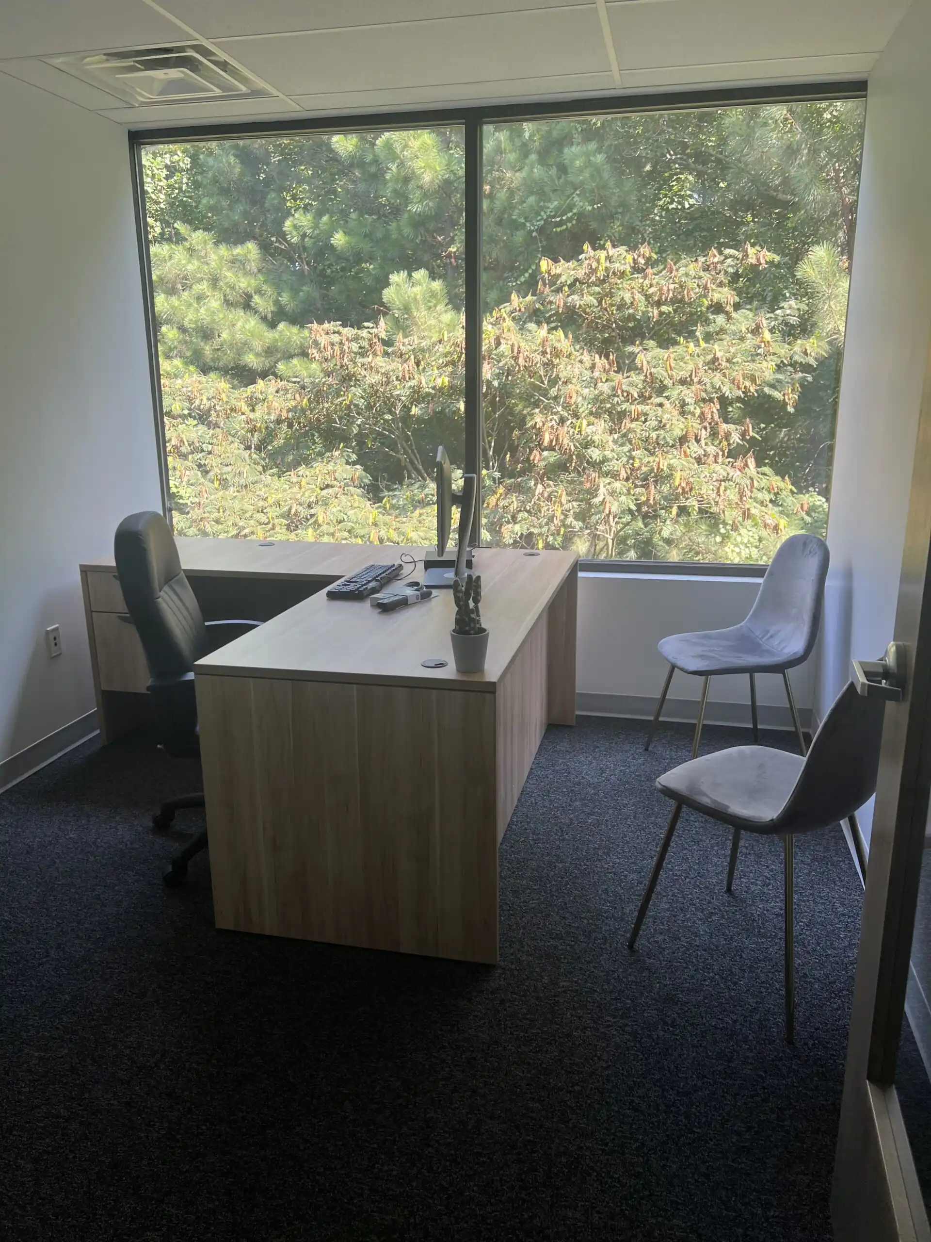 New View Wellness