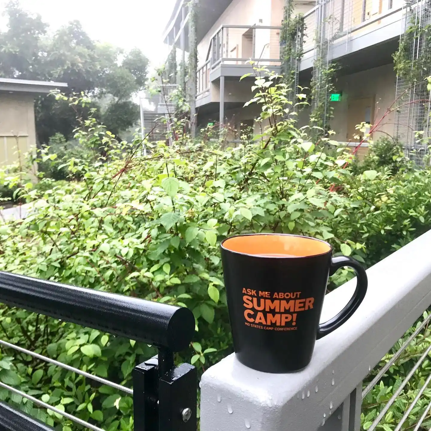 Reset Summer Camp