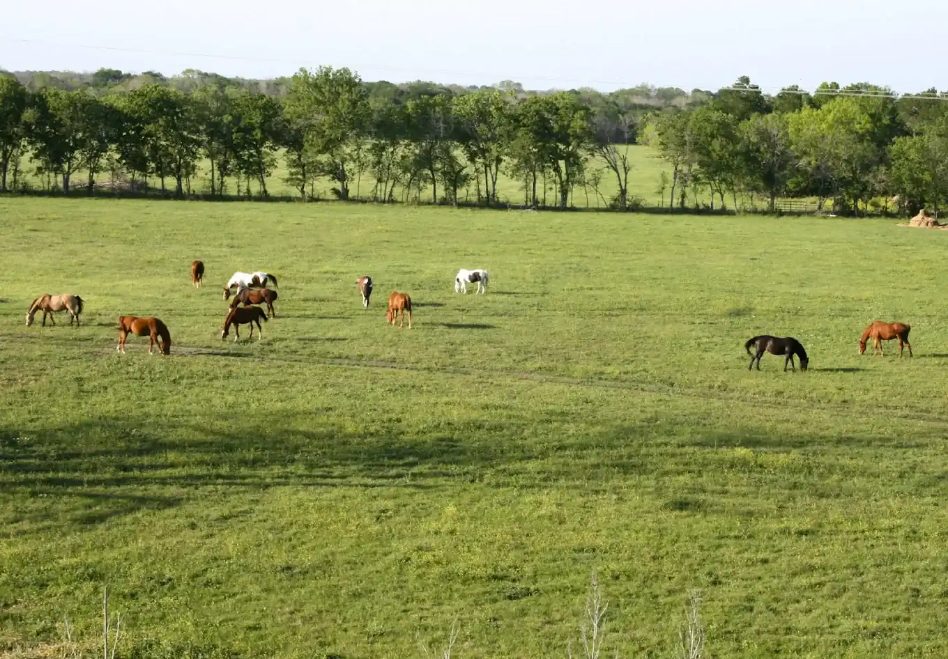 Resolution Ranch Academy