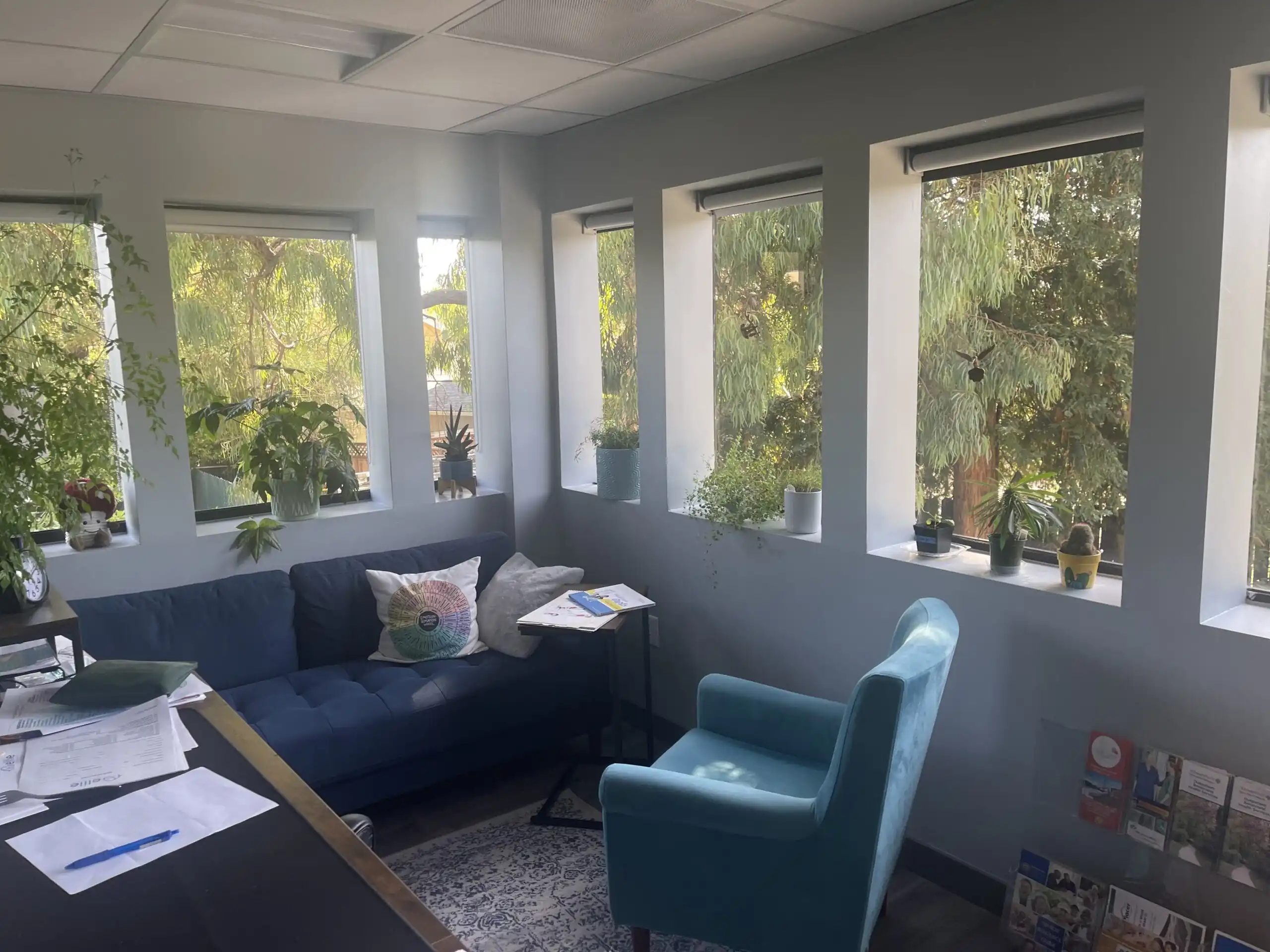 Riva Mental Health Redwood City