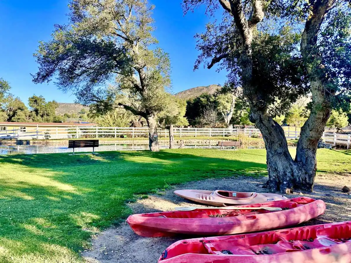 Oak Antler Ranch