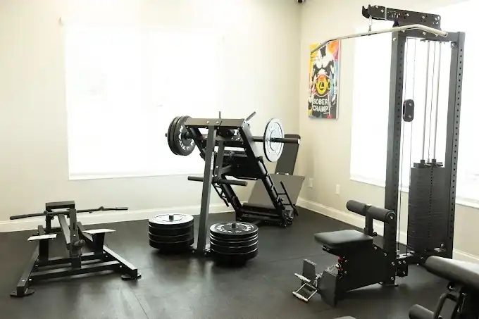Thoroughbred Wellness and Recovery - Cartersville
