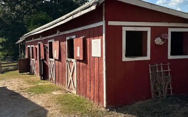 Thoroughbred Wellness and Recovery