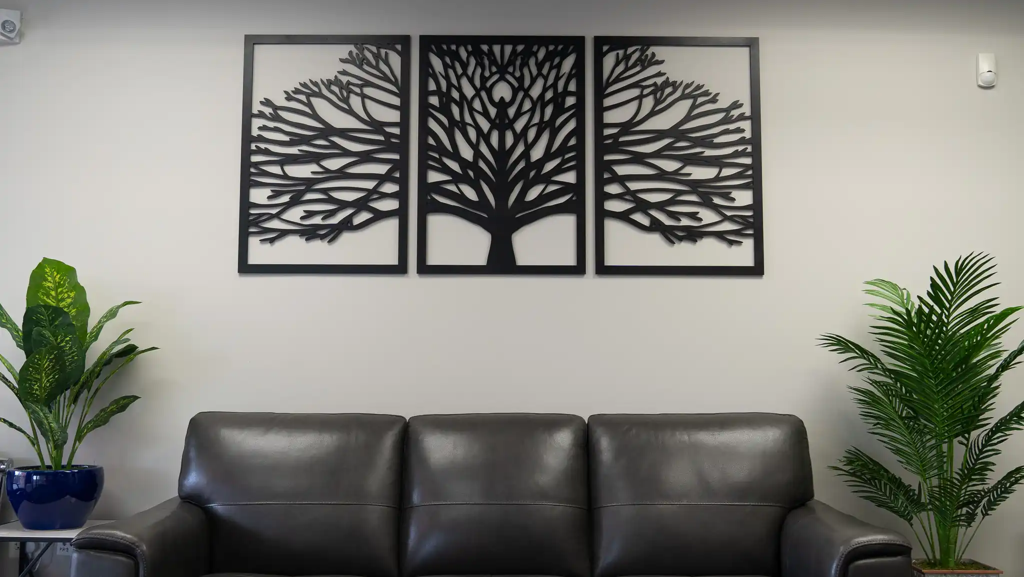 Tranquility Woods Outpatient